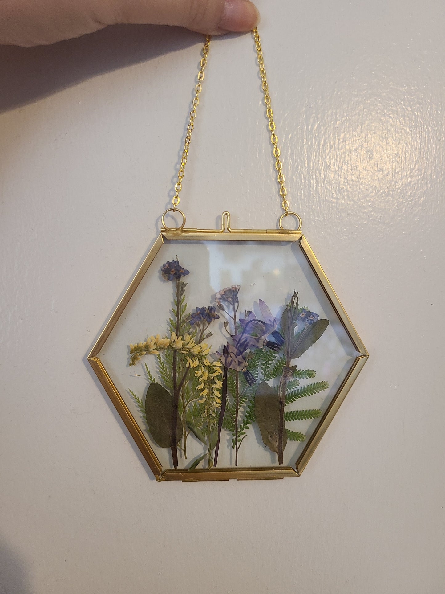 Framed Pressed Flowers